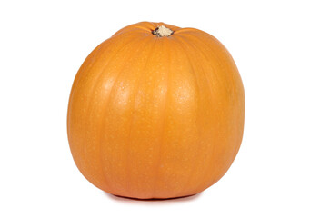 Large pumpkin on a white background. Isolated object