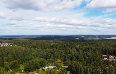 Beautiful top view of forest landscape with green trees