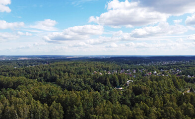 Naklejka premium Beautiful top view of forest landscape with green trees