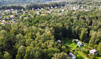 Beautiful top view of forest landscape with green trees