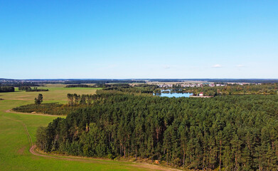Beautiful top view of forest landscape with green trees