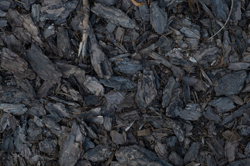 pile of coal