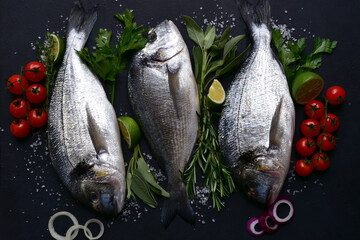 Raw dorado fish with ingredients for making : tomato, citrus, herbs, garlic, olive oil and salt . Top view with copy space.