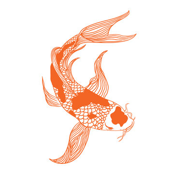 illustration of a koi fish
