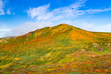 栗駒山全山紅葉神の絨毯と登山道
