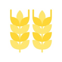 bakery shop icons wheat leafs with wheat seeds vectors in flat style,
