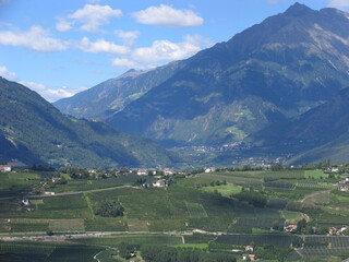 Fototapeta na wymiar Blick ins Vintschgau von Scenna aus gesehen. Schenna, Südtirol, Italien, Europa