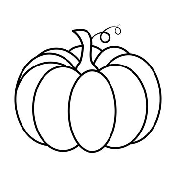 Pumpkin outline. Autumnal cartoon illustration. Shape for halloween or thanksgiving party invitation. Autumn vector image. Seasonal clipart graphic contour. Symbol of october celebrate festival.
