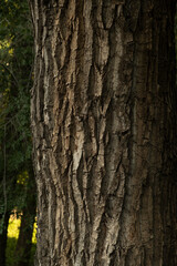 texture