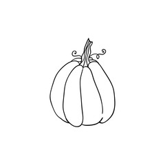 Halloween doodle pumpkin element. Isolated vector illustration for holiday design