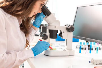 Inspection of the quality of vegetables and fruits in the laboratory of food quality