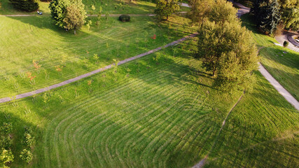 Obraz premium Top view of a beautiful grassy lawn in a summer park