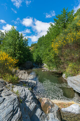 Crystal clear river surrounded by vegetation