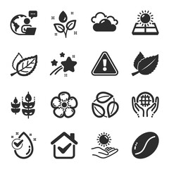 Set of Nature icons, such as Coffee beans, Water drop, Cloudy weather symbols. Mint leaves, Plants watering, Sun protection signs. Organic tested, Leaf, Gluten free. Natural linen, Leaves. Vector