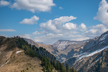 Beautiful swiss alps mountains. Alpine meadows.  