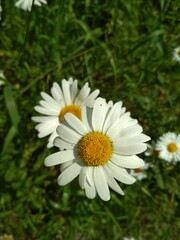 Obraz premium Best of my pics