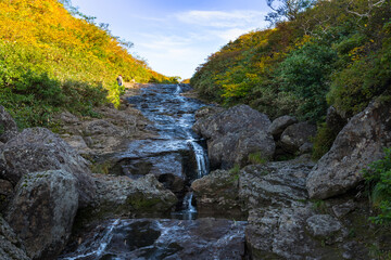 栗駒山紅葉の季節の渓流を横切る登山道