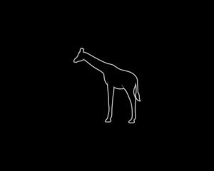 Giraffe Silhouette on Black Background. Isolated Vector Animal Template for Logo Company, Icon, Symbol etc