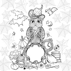 Fototapeta premium Halloween coloring page with owl in hat. Witch tools and spider web for Halloween Holiday. Vector black outline contour illustration isolated on white