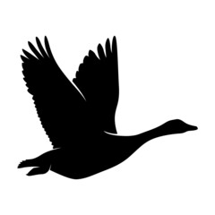 Duck or Goose Silhouette on White Background. Isolated Vector Animal Template for Logo Company, Icon, Symbol etc
