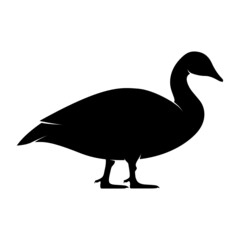 Duck or Goose Silhouette on White Background. Isolated Vector Animal Template for Logo Company, Icon, Symbol etc