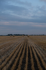 plowed field in autumn