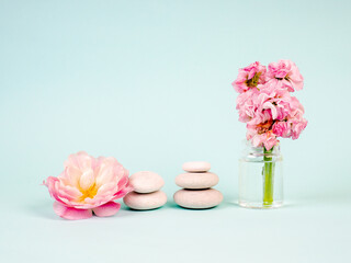 Zen stones and pink flowers on a blue background