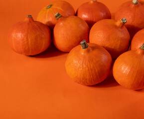 orange little pumpkins