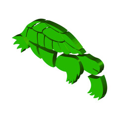 Green turtle on a white background, isometric image, for design, vector illustration