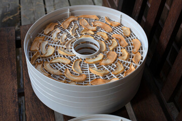 Dried apples on electric Dryer. Autumn preparations.