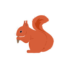Vector illustration of a squirrel on a white isolated background.