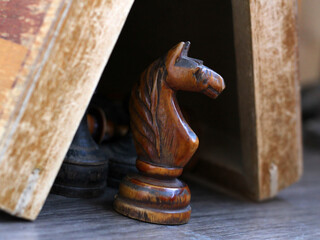 Wooden chess knight and Board © sabdiz
