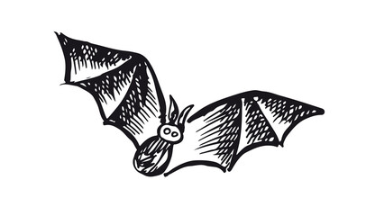 Flying bat, grunge illustration, vector.