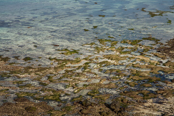 The beach is dry so the coral is visible to the surface
