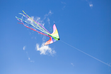 A colorful triangle kite flies under blue sky. sunny autumn.