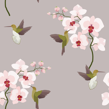 Seamless vector illustration with orchids and hummingbirds