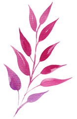 Fototapeta na wymiar hand draw watercolor leaves, illusration, sketch, purple color, pink color, herbal ornament