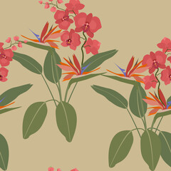 Seamless summer vector illustration with orchids and strelitzia
