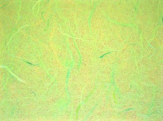 Obraz na płótnie Canvas Abstract green mulberry paper texture or background ,colored paper for wallpaper ,background with lines 
