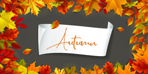 Greetings and gifts for the autumn and autumn season concept. Autumn background, poster and banner template with colorful autumn leaves.