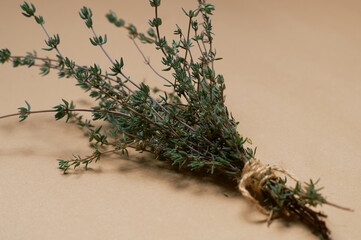 a bunch of thyme spices from the garden is on the table