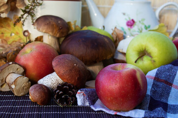 autumn still life