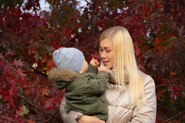 A small blue-eyed child in the arms of his blonde mother in the autumn forest. Mom lovingly looks at her son, who gives her an autumn leaf. The joy of motherhood. European race.