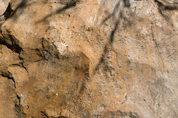 Brown color rock background and texture