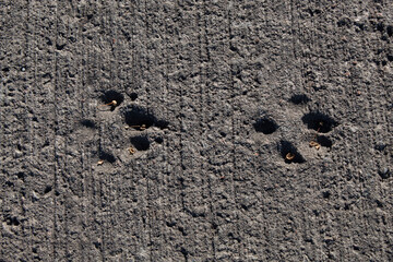 footprint on the road