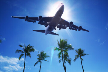 Fototapeta premium 旅客機とヤシの木