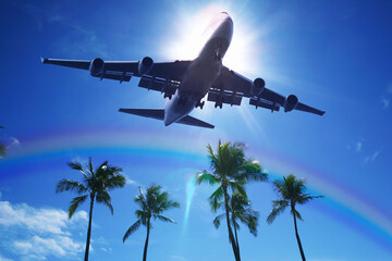 Fototapeta premium 旅客機とヤシの木
