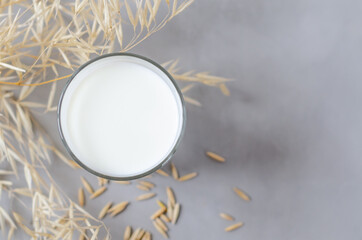 Obraz na płótnie Canvas Glass of oat milk on a gray background. Flat lay. Copy space. 