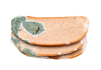 multicolored mold on rye bread on white background