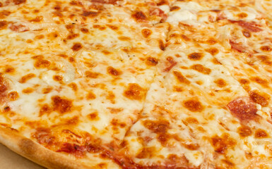 Simple Italian Pizza with Cheese Texture Background Closeup